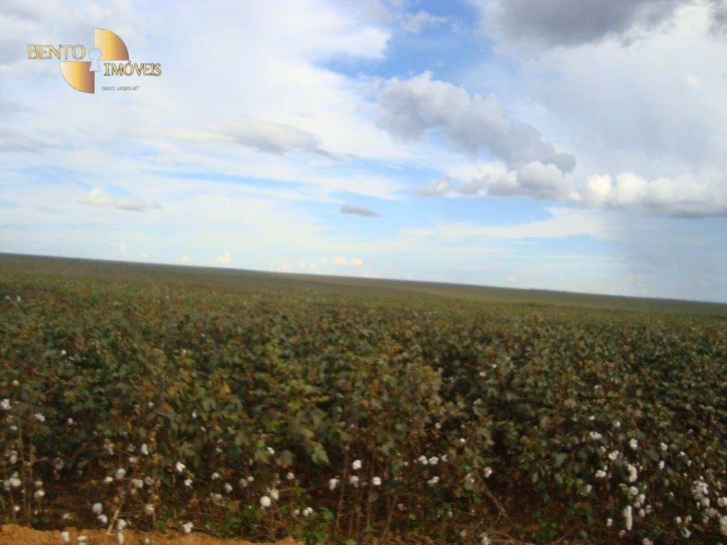 Fazenda de 17.897 ha em Canarana, MT