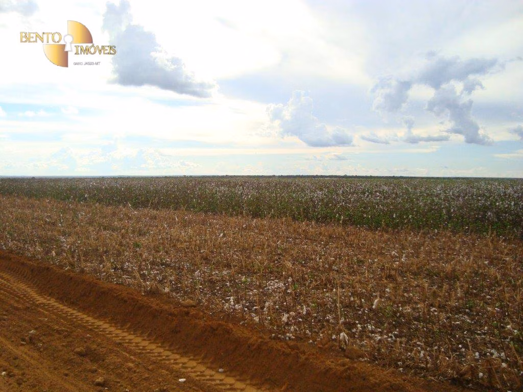 Fazenda de 17.897 ha em Canarana, MT