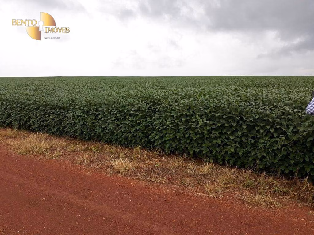 Fazenda de 17.897 ha em Canarana, MT