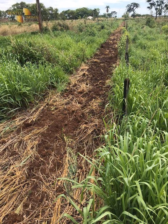 Farm of 2,004 acres in Rosário Oeste, MT, Brazil