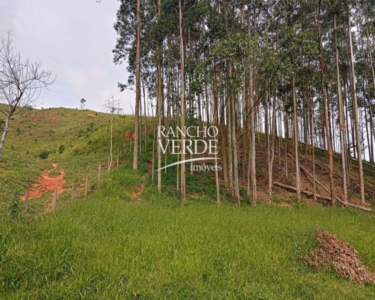 Sítio de 24 ha em São José dos Campos, SP