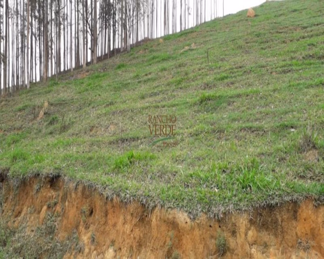 Sítio de 24 ha em São José dos Campos, SP