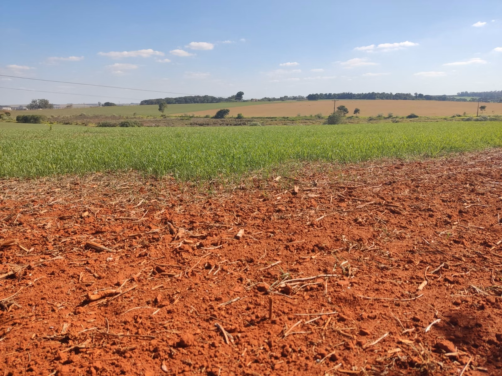 Farm of 490 acres in Tatuí, SP, Brazil