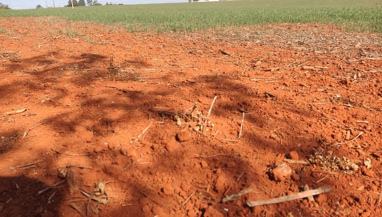 Farm of 490 acres in Tatuí, SP, Brazil