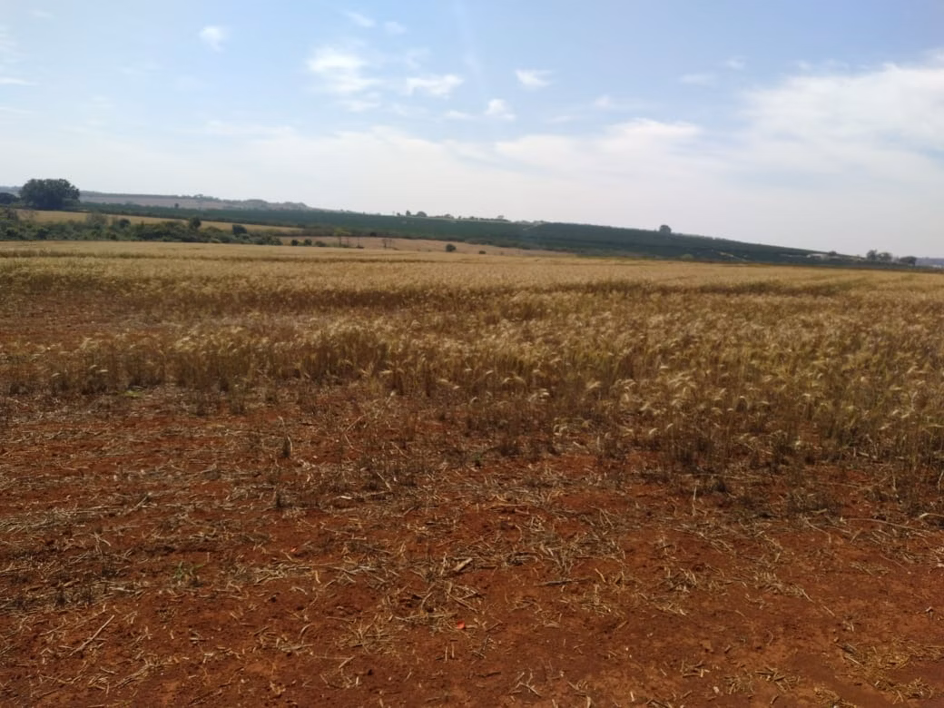 Farm of 490 acres in Tatuí, SP, Brazil