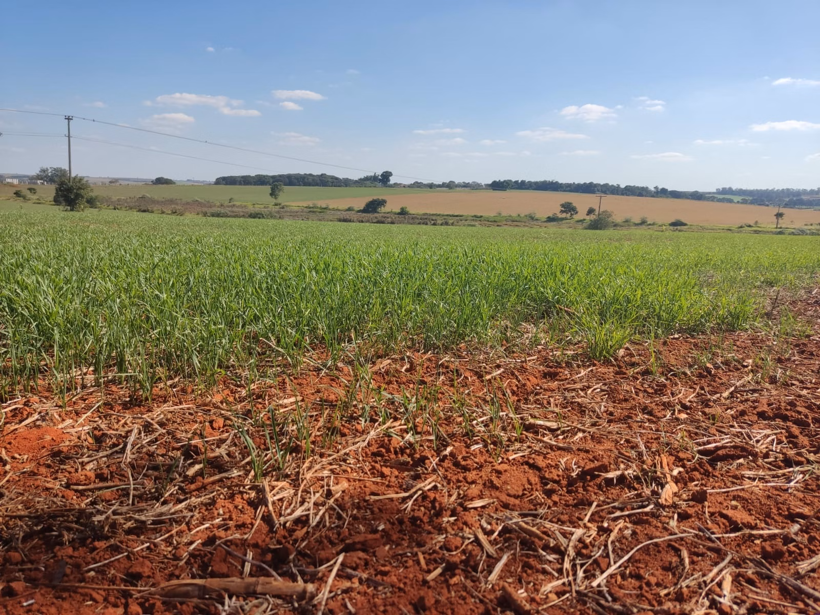 Farm of 490 acres in Tatuí, SP, Brazil