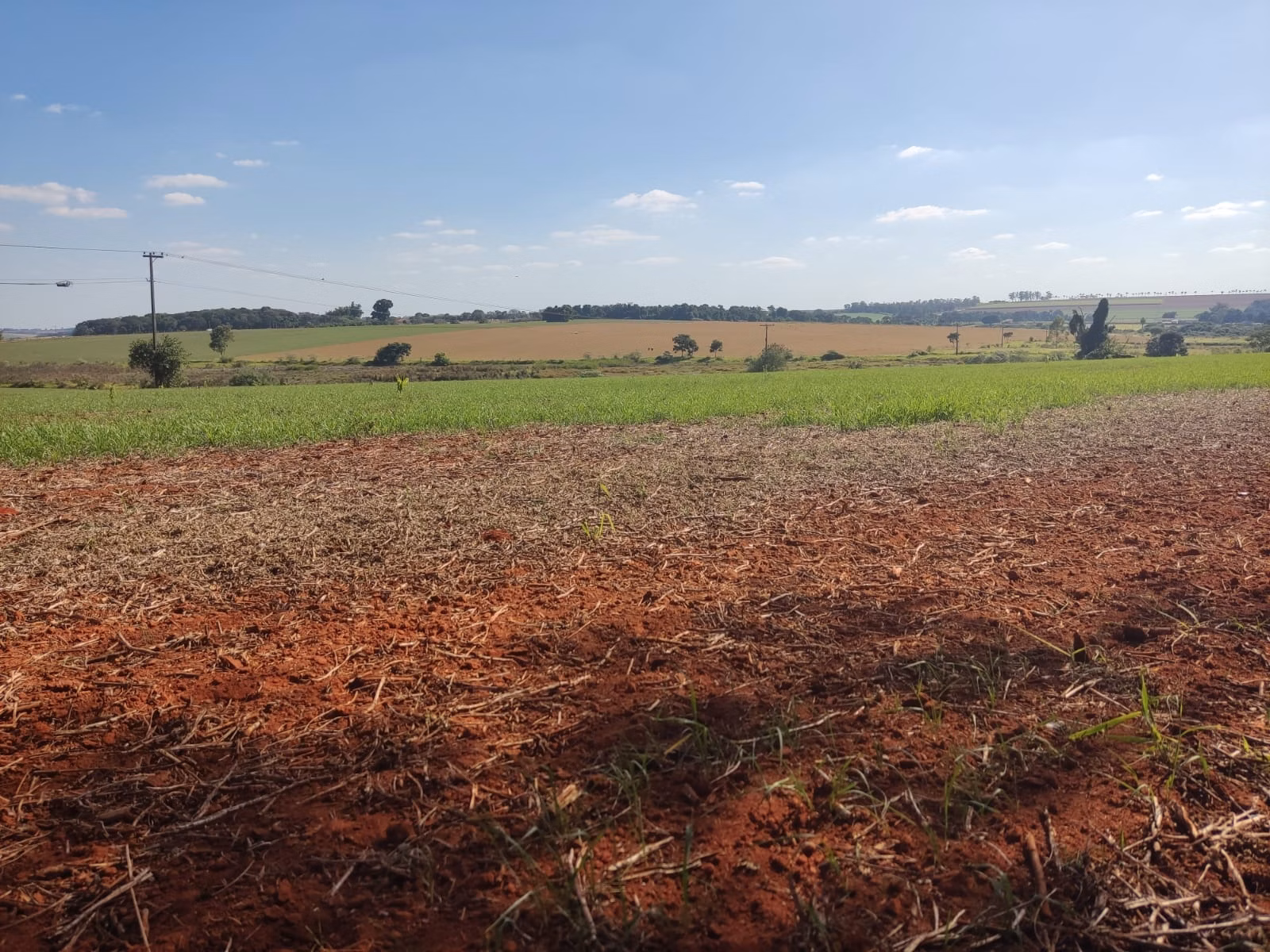 Farm of 490 acres in Tatuí, SP, Brazil