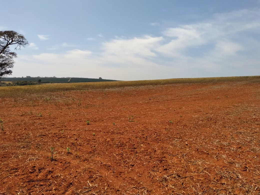 Farm of 490 acres in Tatuí, SP, Brazil