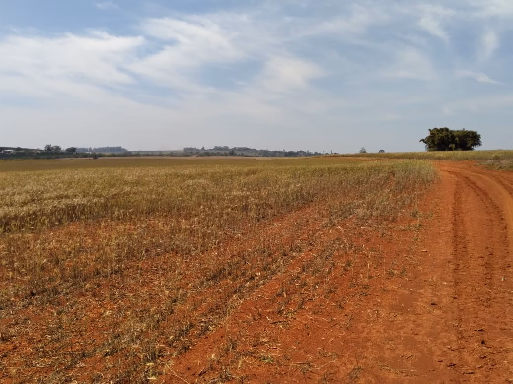 Farm of 490 acres in Tatuí, SP, Brazil