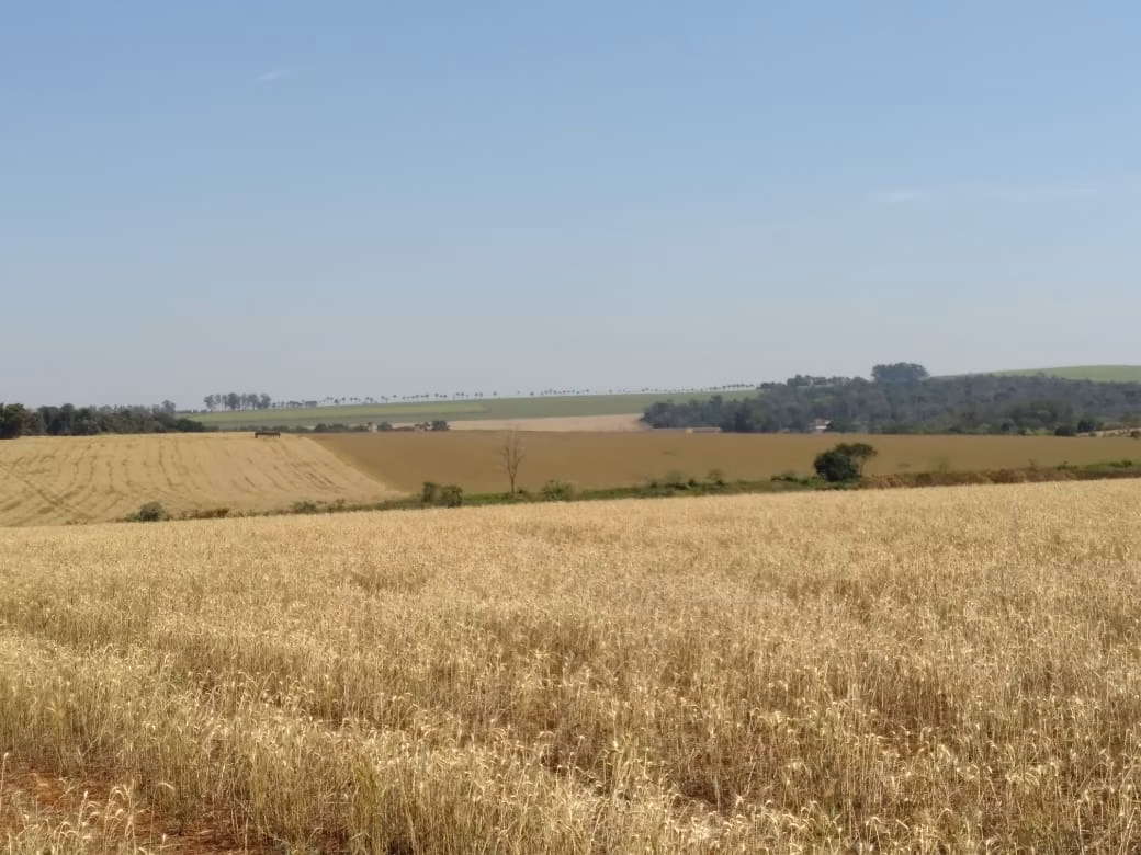 Farm of 490 acres in Tatuí, SP, Brazil