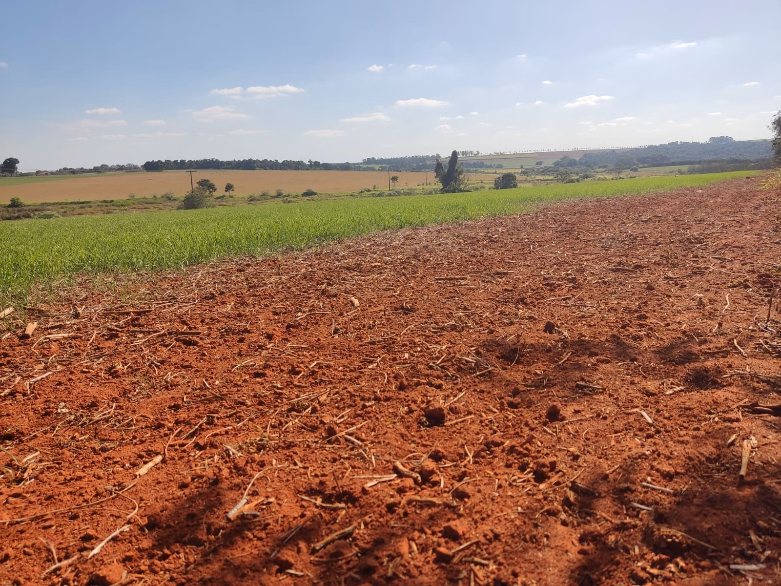 Farm of 490 acres in Tatuí, SP, Brazil