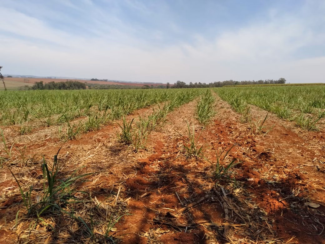 Farm of 490 acres in Tatuí, SP, Brazil