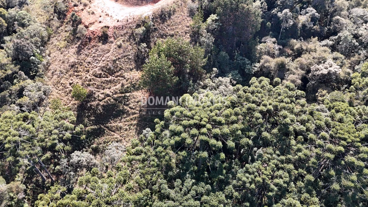 Plot of 2 acres in Campos do Jordão, SP, Brazil