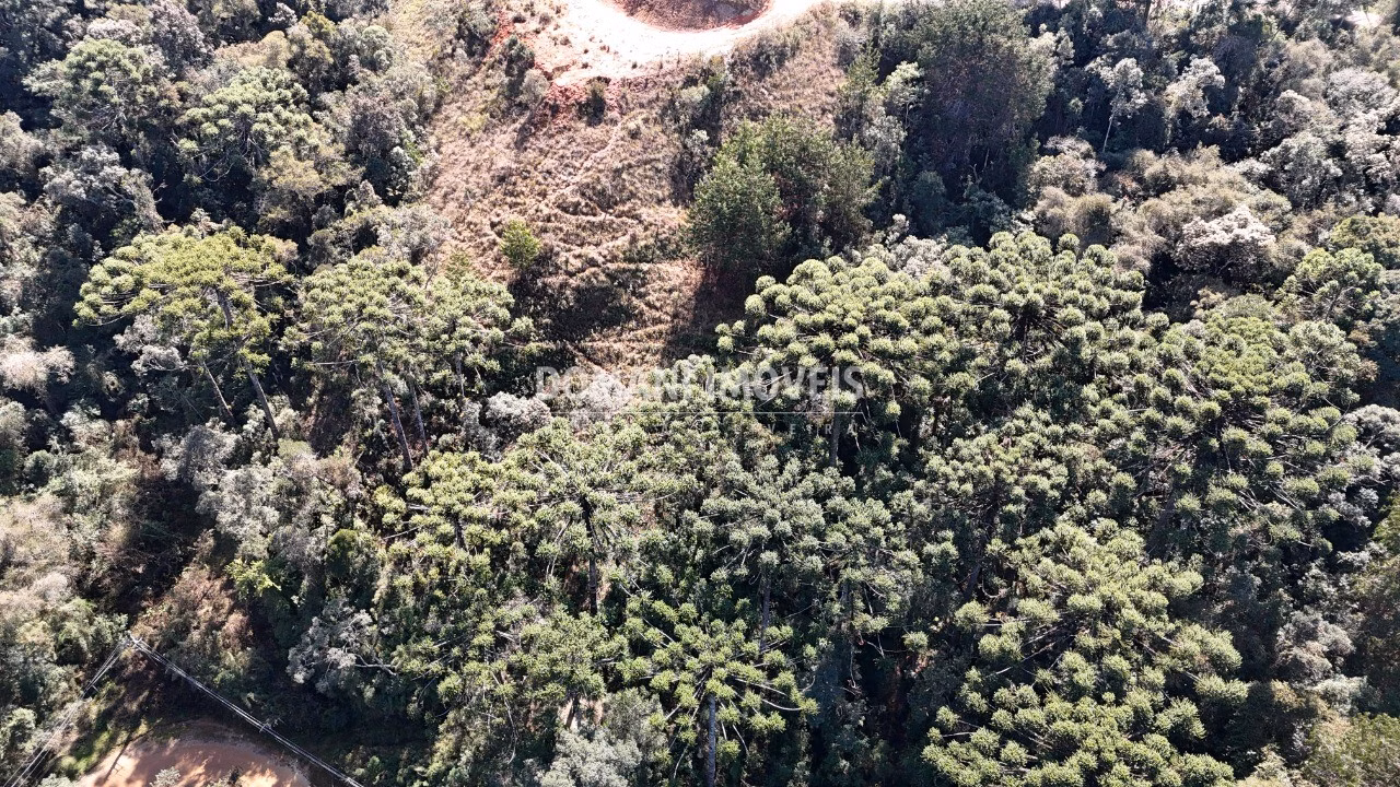 Plot of 2 acres in Campos do Jordão, SP, Brazil