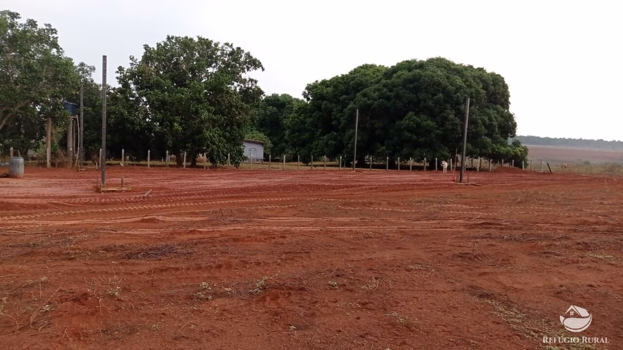 Fazenda de 9.300 ha em São José do Xingu, MT