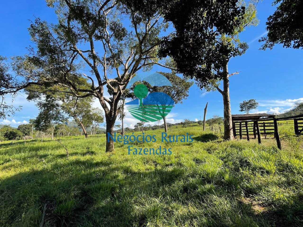 Fazenda de 121 ha em Campinaçu, GO