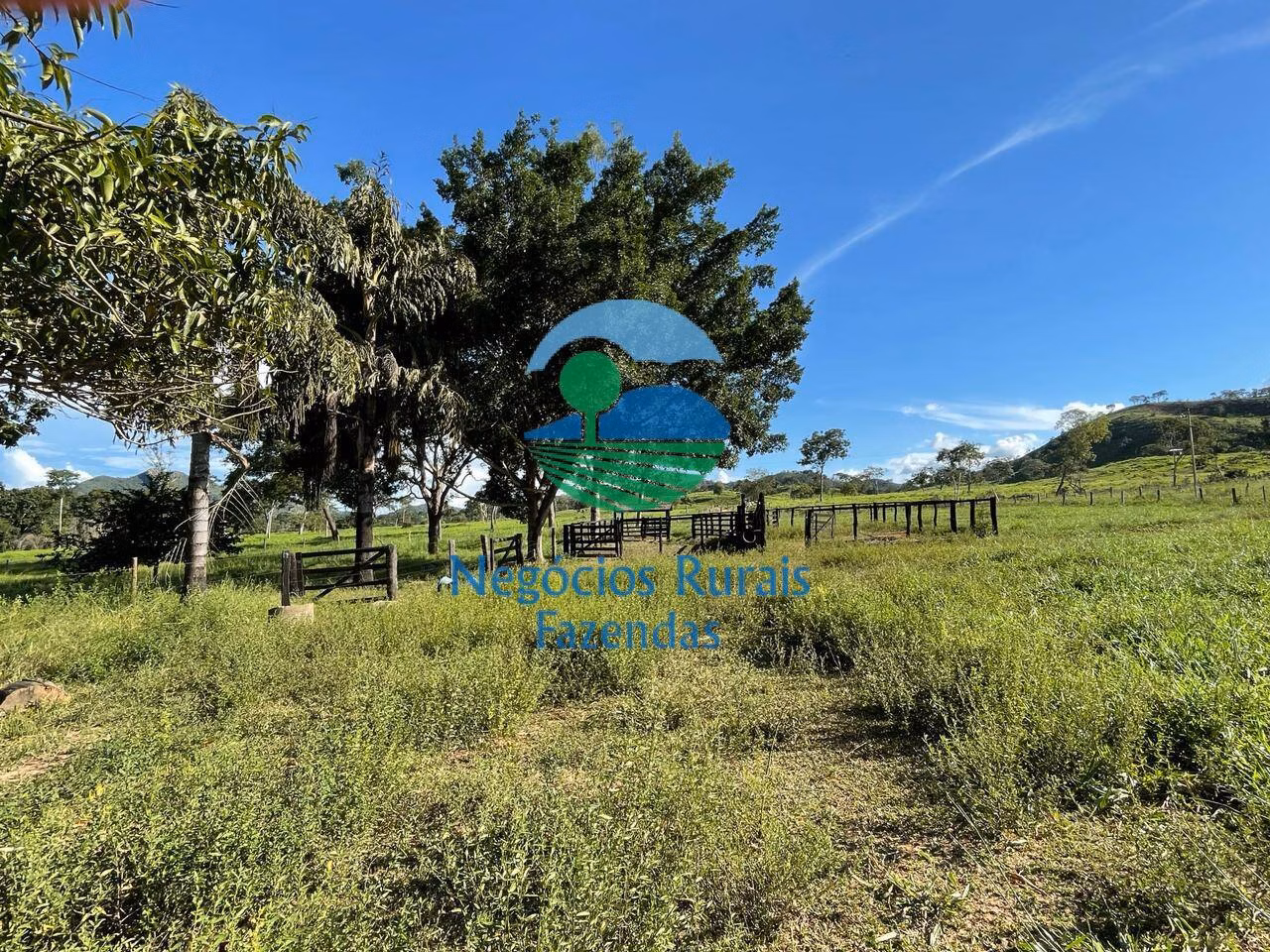 Fazenda de 121 ha em Campinaçu, GO