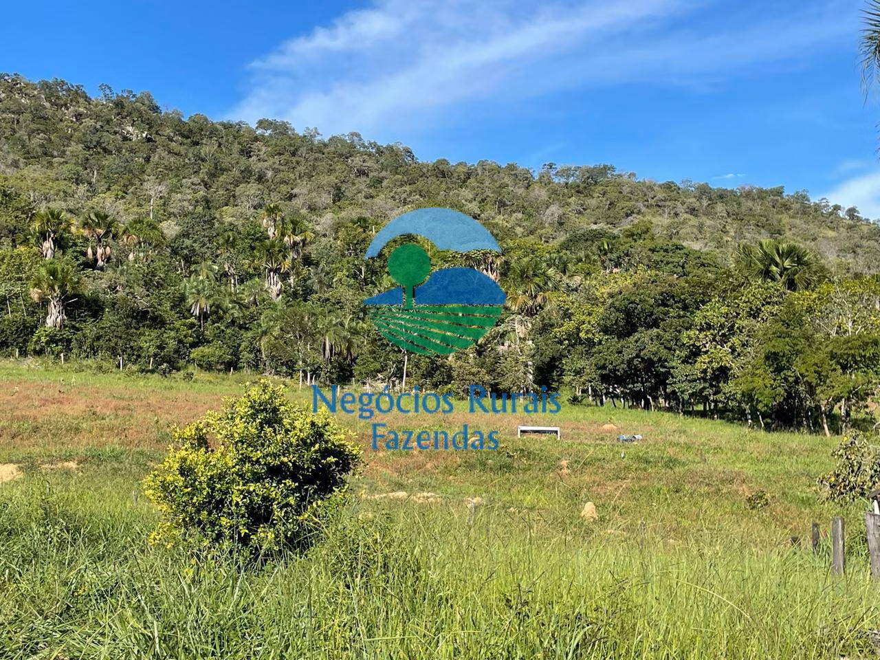 Fazenda de 121 ha em Campinaçu, GO