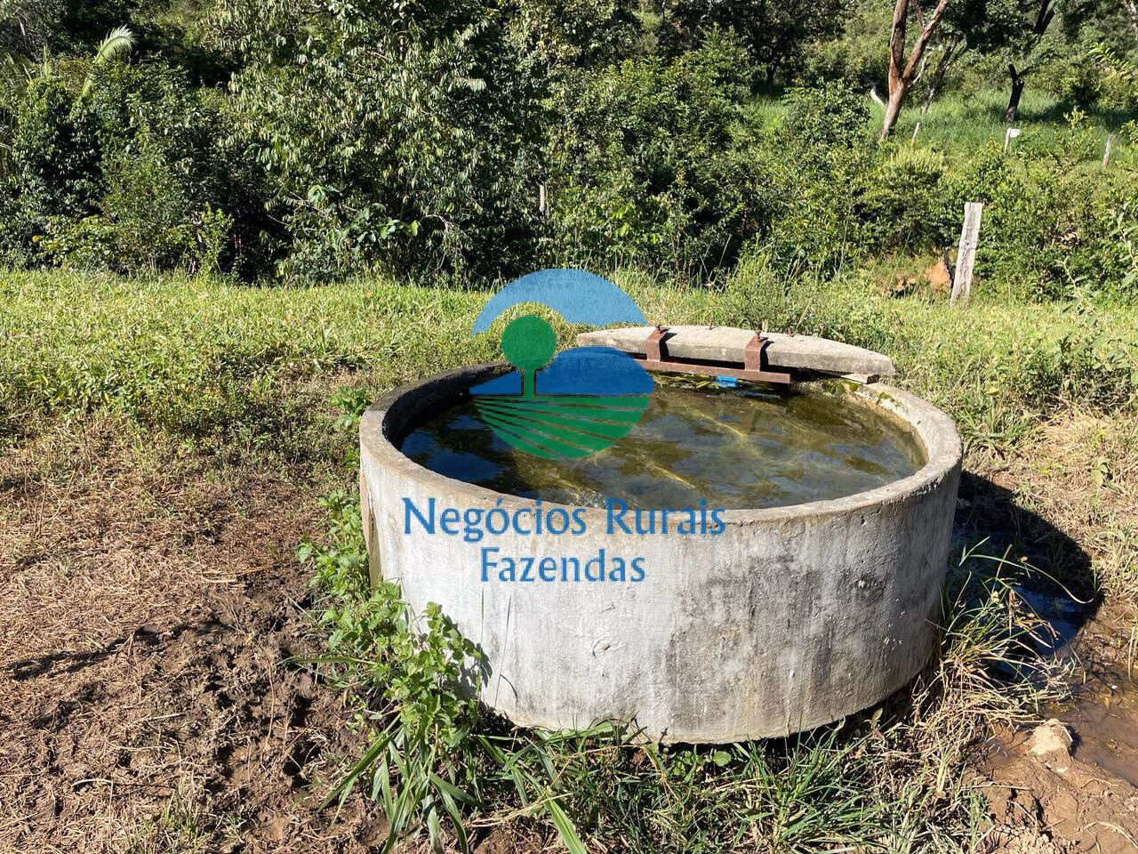 Fazenda de 121 ha em Campinaçu, GO