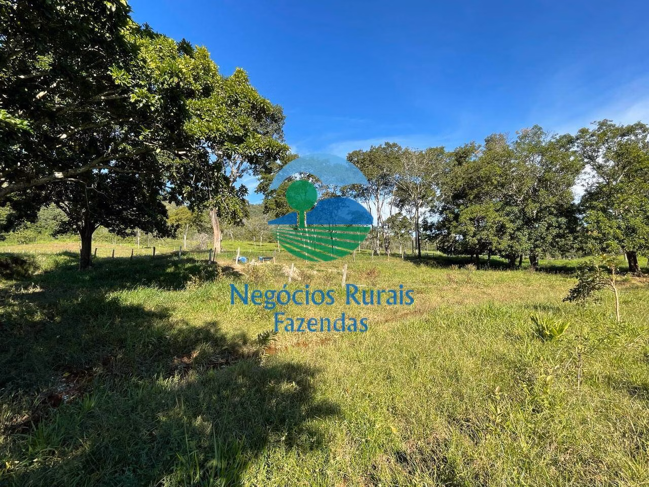 Fazenda de 121 ha em Campinaçu, GO