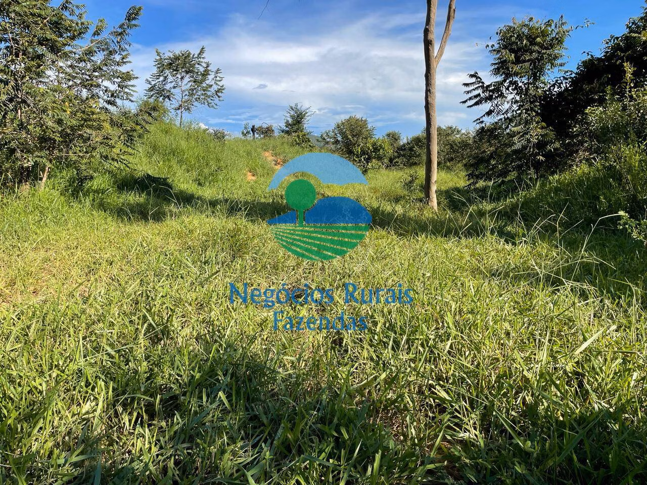 Farm of 299 acres in Campinaçu, GO, Brazil