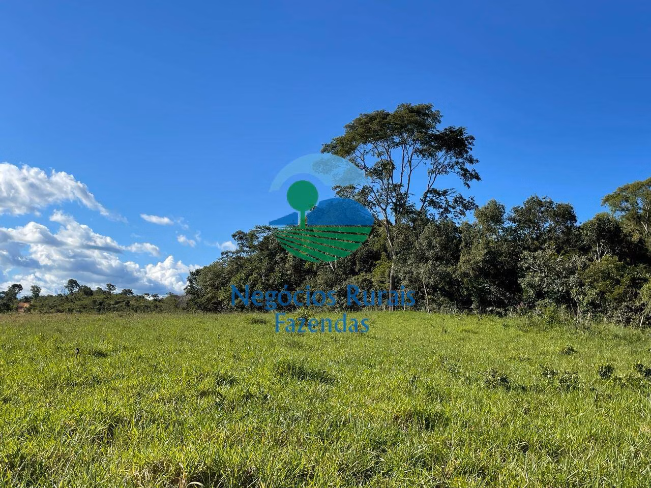 Fazenda de 121 ha em Campinaçu, GO