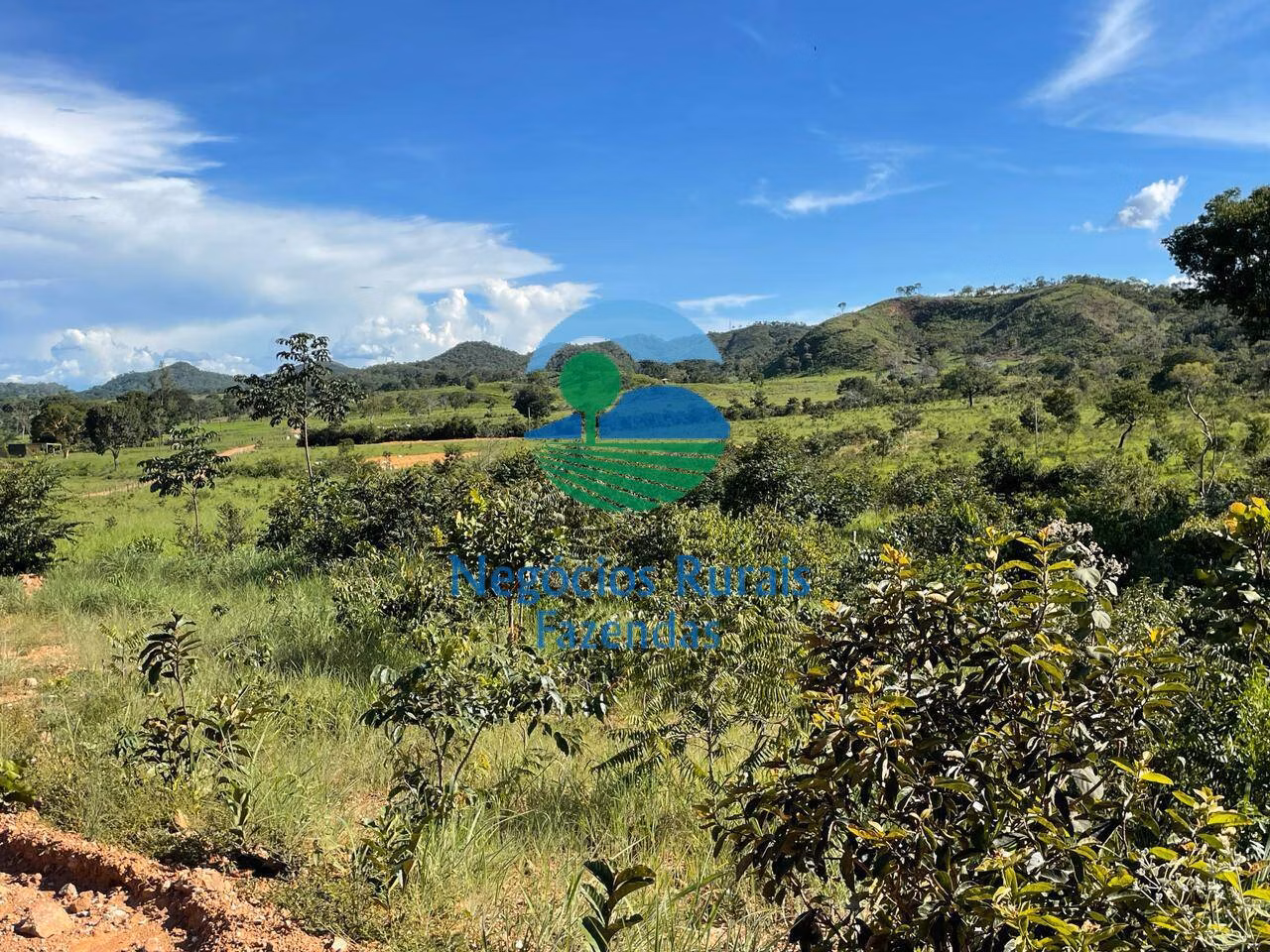 Fazenda de 121 ha em Campinaçu, GO