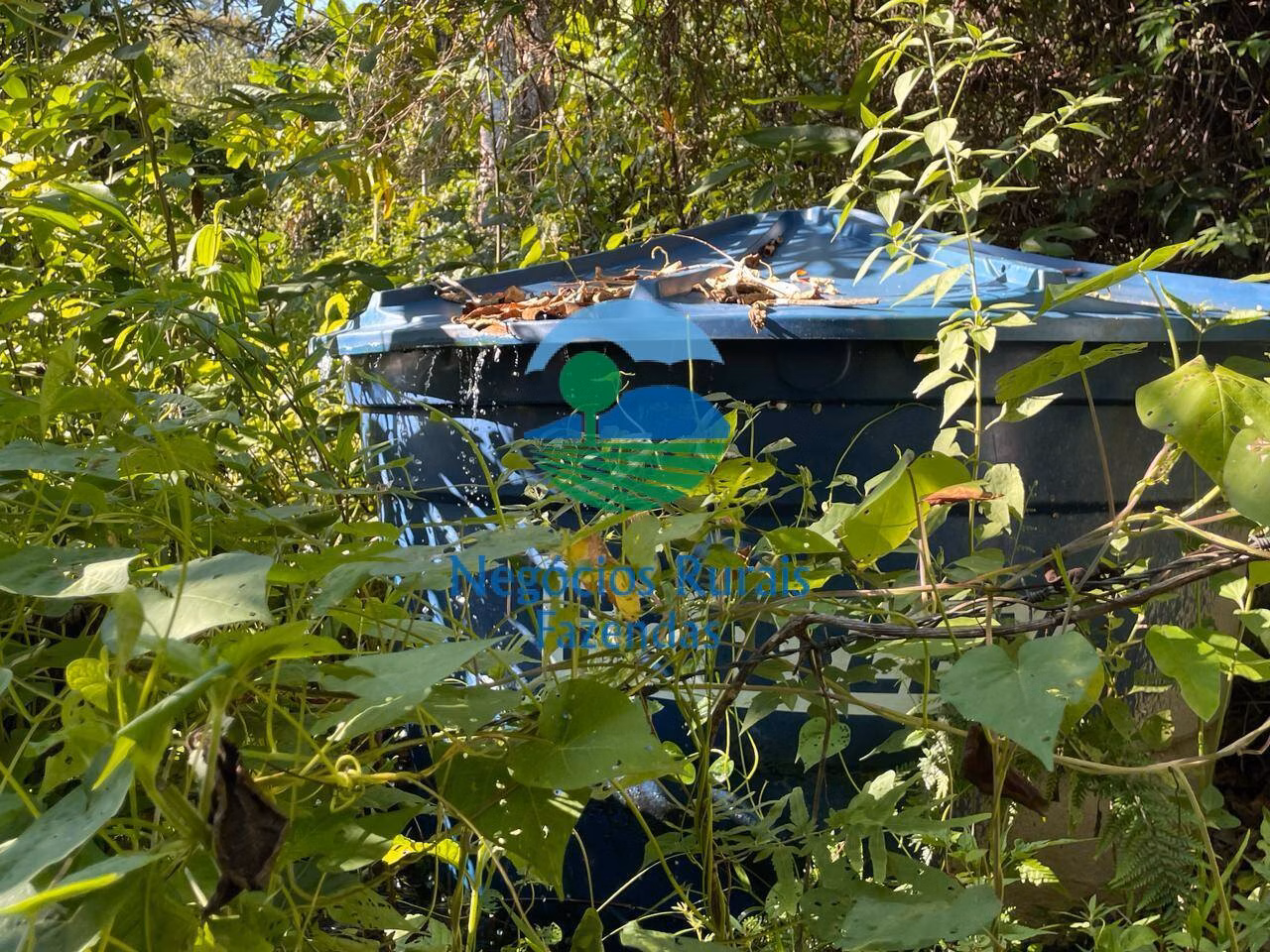 Fazenda de 121 ha em Campinaçu, GO