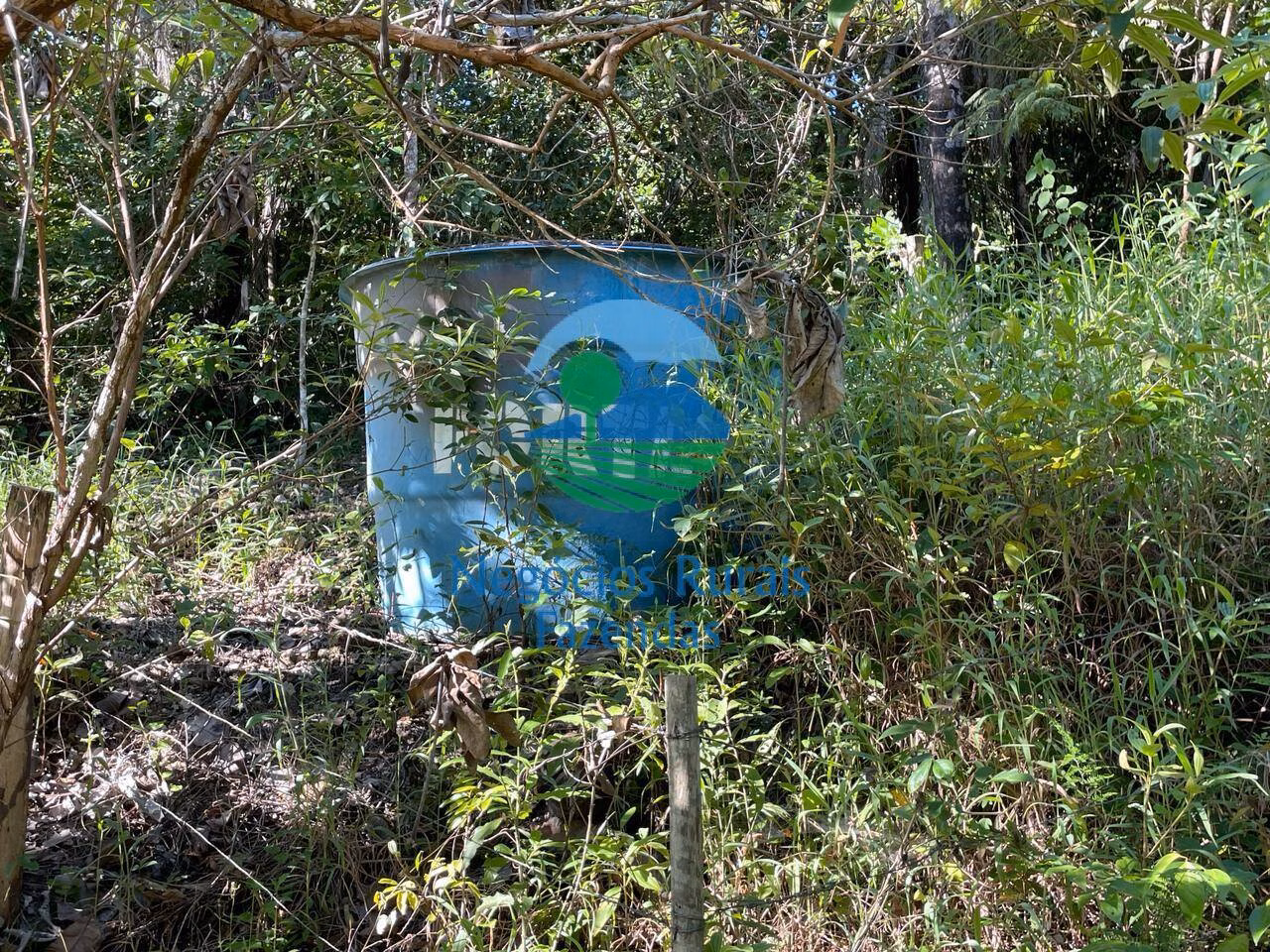Fazenda de 121 ha em Campinaçu, GO