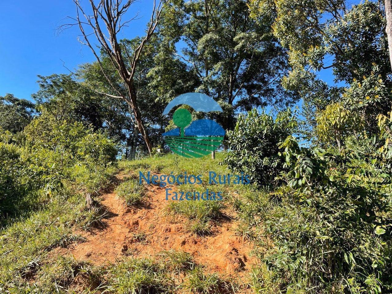 Fazenda de 121 ha em Campinaçu, GO