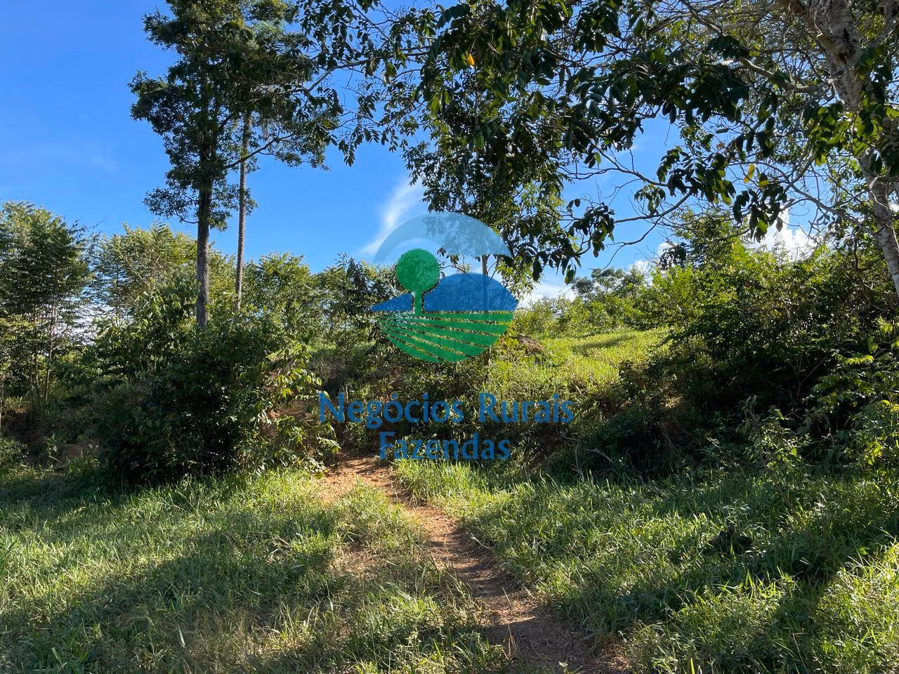 Fazenda de 121 ha em Campinaçu, GO