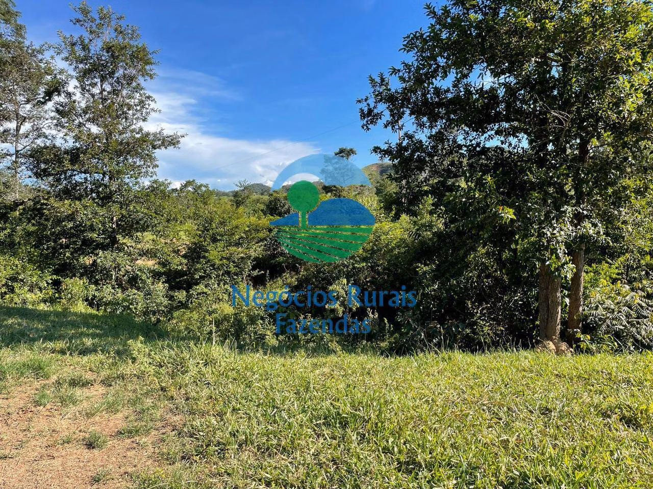 Fazenda de 121 ha em Campinaçu, GO