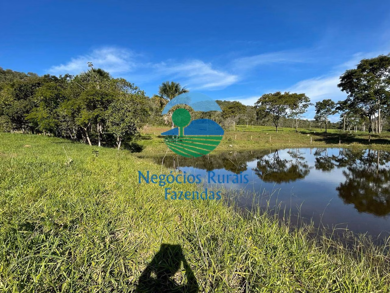 Farm of 299 acres in Campinaçu, GO, Brazil