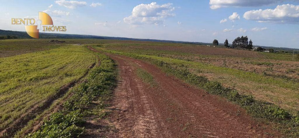 Fazenda de 650 ha em Primavera do Leste, MT