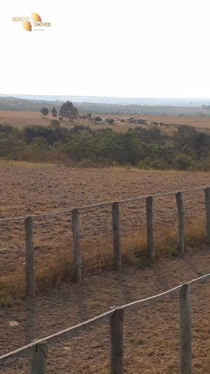 Fazenda de 650 ha em Primavera do Leste, MT