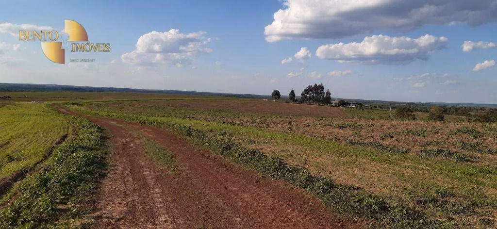Fazenda de 650 ha em Primavera do Leste, MT