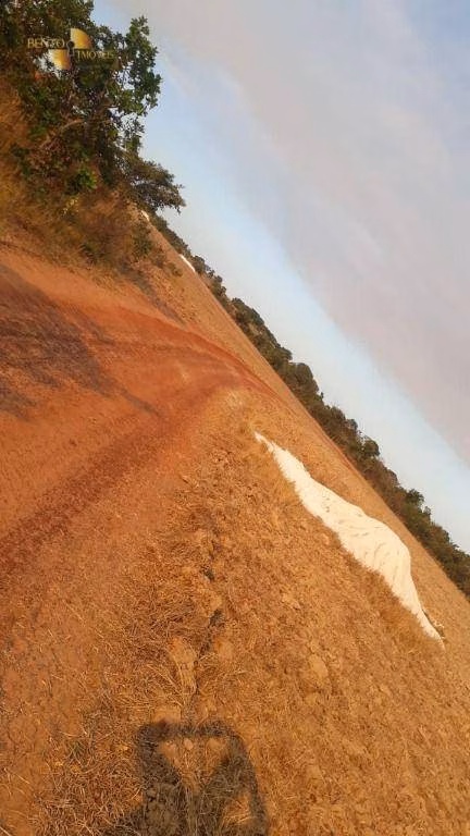 Fazenda de 650 ha em Primavera do Leste, MT