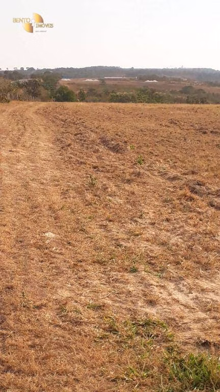 Fazenda de 650 ha em Primavera do Leste, MT