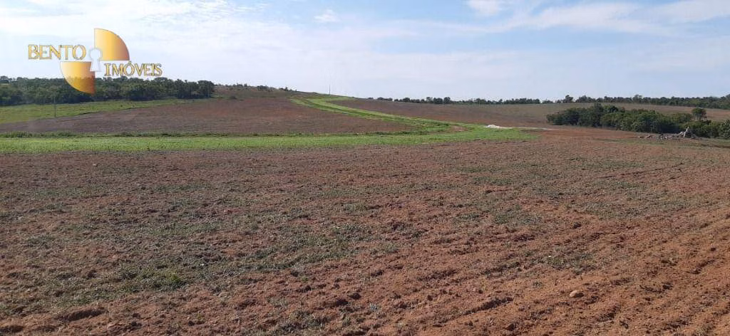 Fazenda de 650 ha em Primavera do Leste, MT
