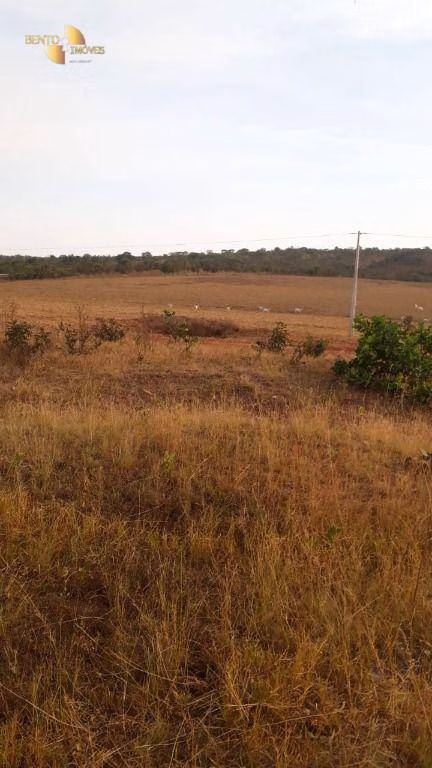 Fazenda de 650 ha em Primavera do Leste, MT