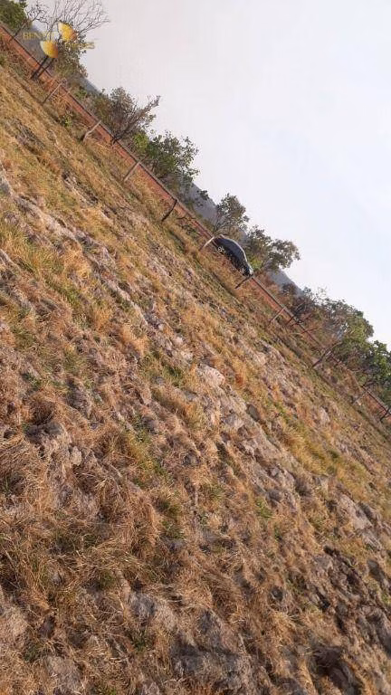 Fazenda de 650 ha em Primavera do Leste, MT
