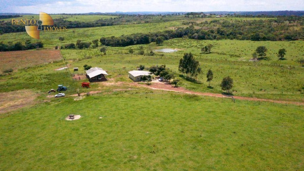 Fazenda de 650 ha em Primavera do Leste, MT