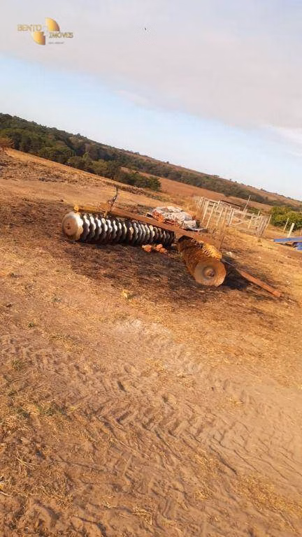 Fazenda de 650 ha em Primavera do Leste, MT