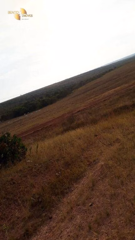 Fazenda de 650 ha em Primavera do Leste, MT