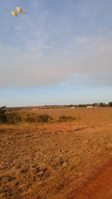 Fazenda de 650 ha em Primavera do Leste, MT