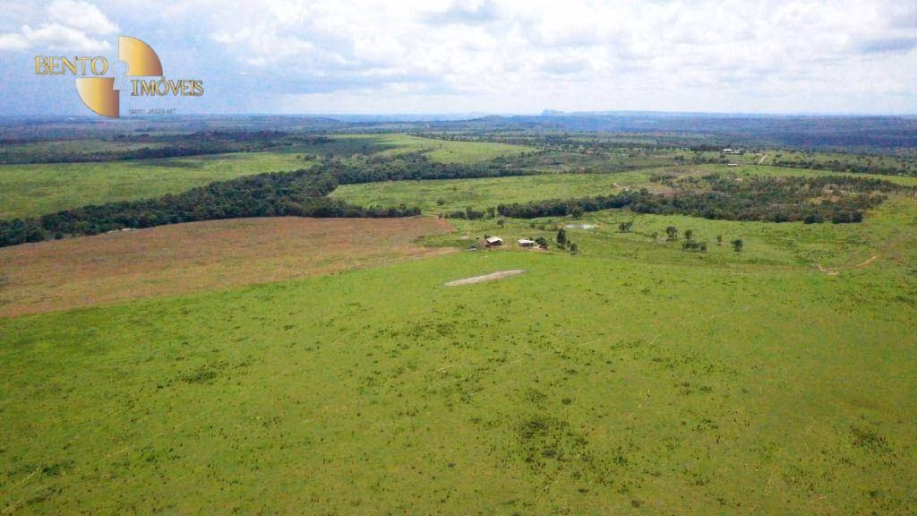 Fazenda de 650 ha em Primavera do Leste, MT