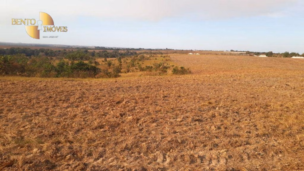 Fazenda de 650 ha em Primavera do Leste, MT