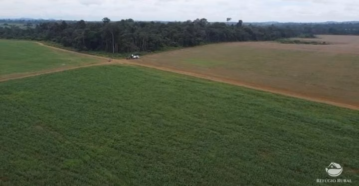 Fazenda de 3.570 ha em Novo Progresso, PA