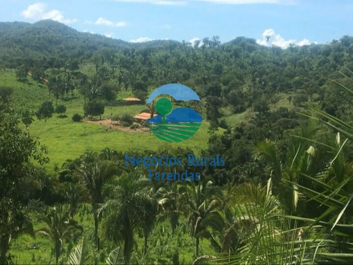 Fazenda de 1.021 ha em Cavalcante, GO