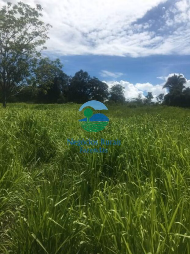 Fazenda de 1.021 ha em Cavalcante, GO